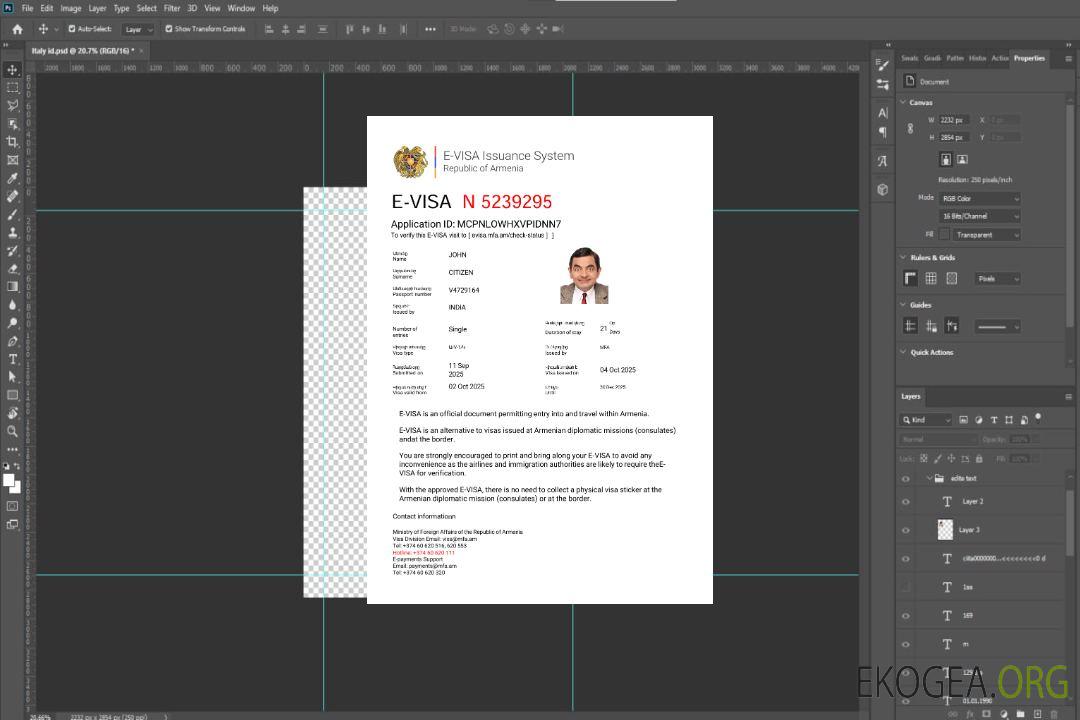 Modèle de visa électronique pour l'Arménie aux formats Word et PDF template